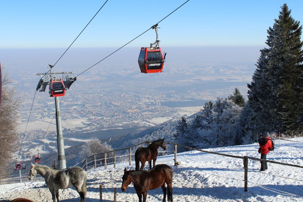 Bolfenk B6 Apartment Hočko Pohorje Екстериор снимка
